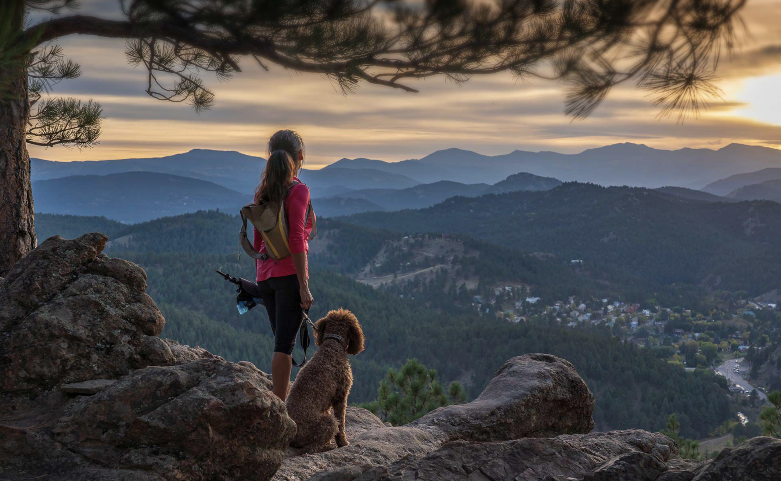 Luxe Living Rentals - Woman Hiking in Forest with Dog- Colorado Luxury Living